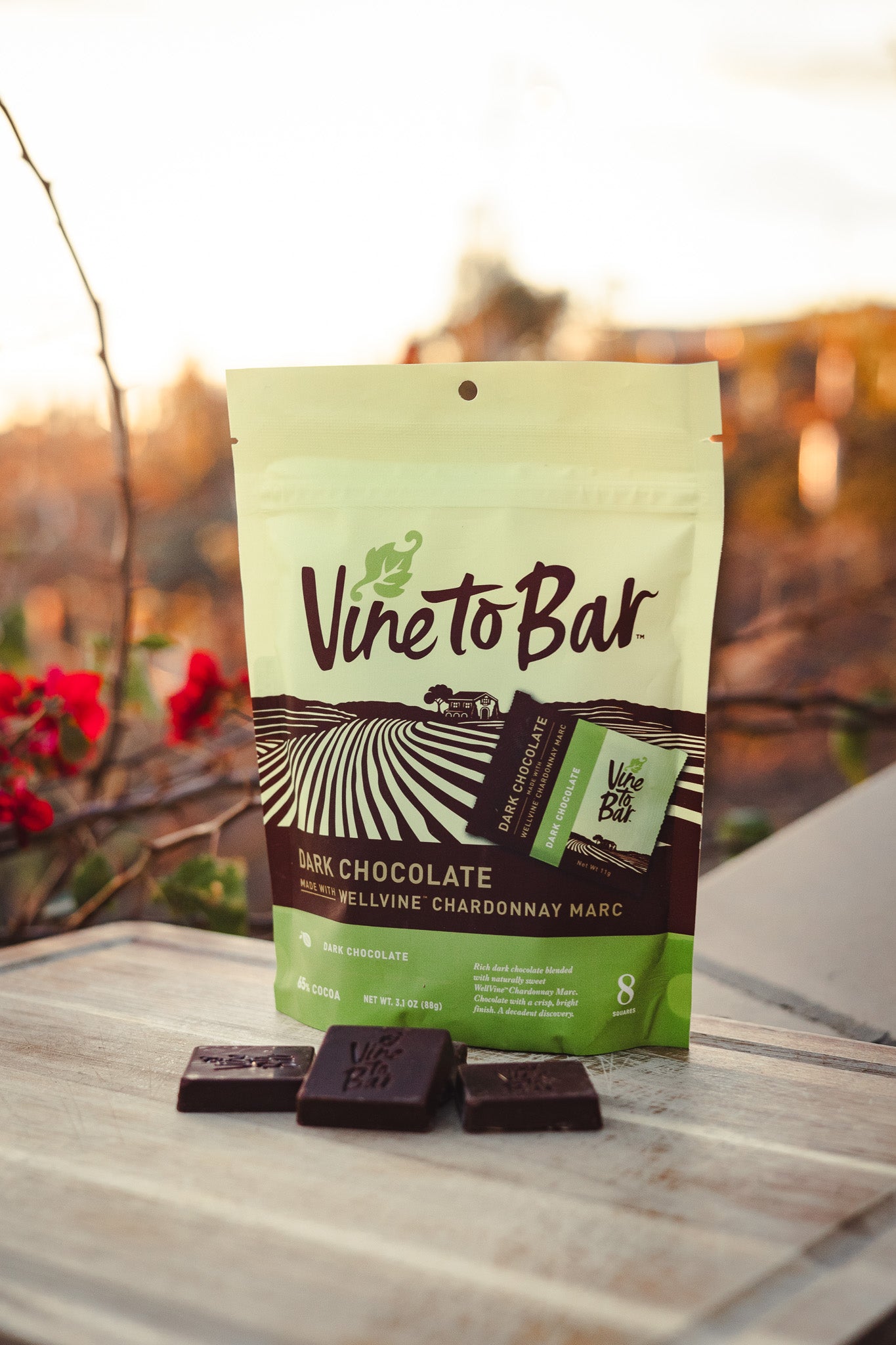 8-Count True Dark Chocolate Tasting Squares – Vine to Bar